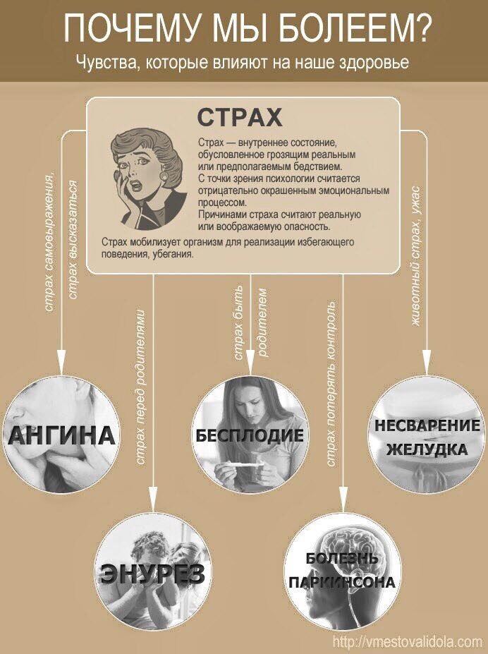 Классная инфографика о связи тела и души. Почему мы болеем. Психосоматика.