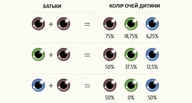 Якого кольору будуть очі у моєї дитини?