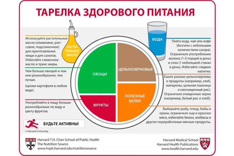 Тарелка здорового питания