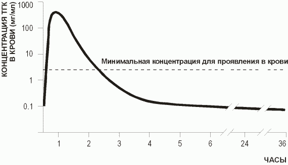 Как долго марихуана выводится из организма?