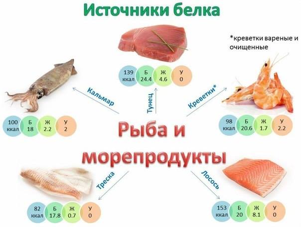 Источники протеина (белка)