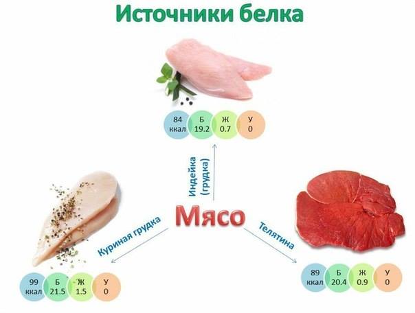 Источники протеина (белка)