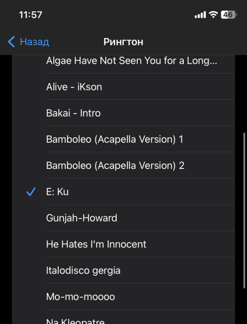 easy-ringtone-for-iphone11.png