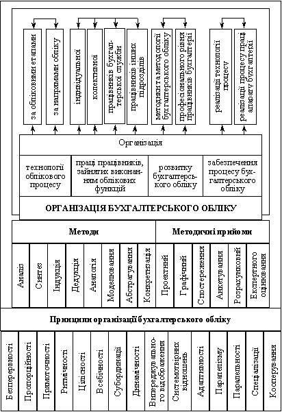  Поле впливу базових основ організації бухгалтерського обліку на її об’єкти