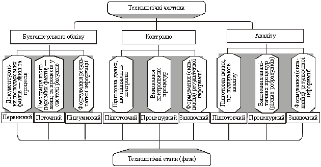 Технологічна структура бухгалтерського обліку, контролю та аналізу