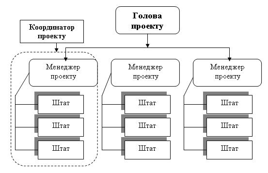 Організація проектного типу