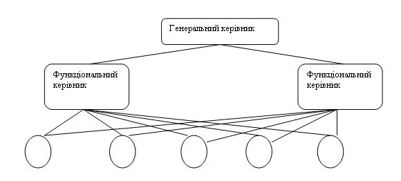 Організація функціонального типу 