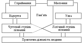 Структура пізнавальної сфери особистості 