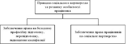 Принцип соціального партнерства та розвитку особистості працівника